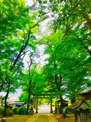 野木神社の景色