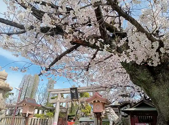 阿部野神社(大阪府)