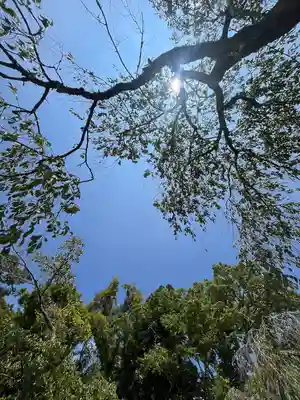 須走護國神社(静岡県)