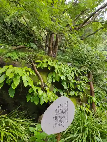 明月院(神奈川県)