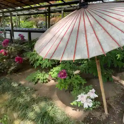 上野東照宮の周辺