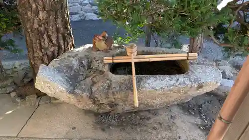 藪里釈迦堂(京都府)