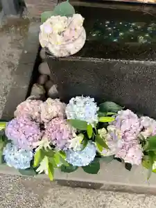 上尾御嶽神社の手水舎(2023年05月06日(土) 11時45分02秒投稿)