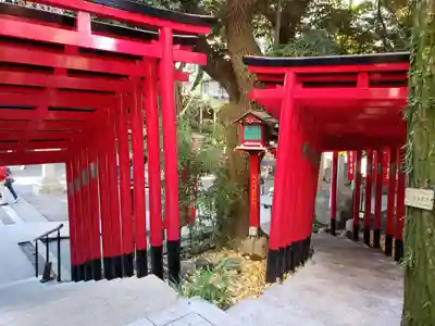 乃木神社の鳥居