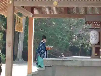 安房神社のその他建物