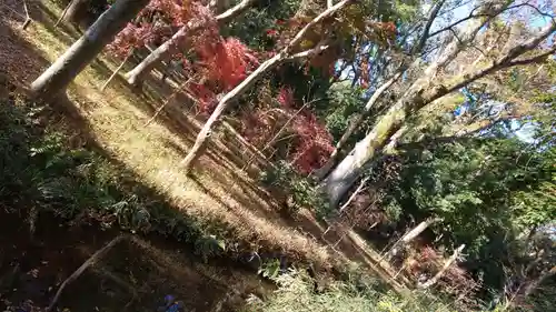 賀茂御祖神社（下鴨神社）(京都府)