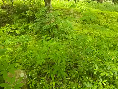 百済寺(滋賀県)