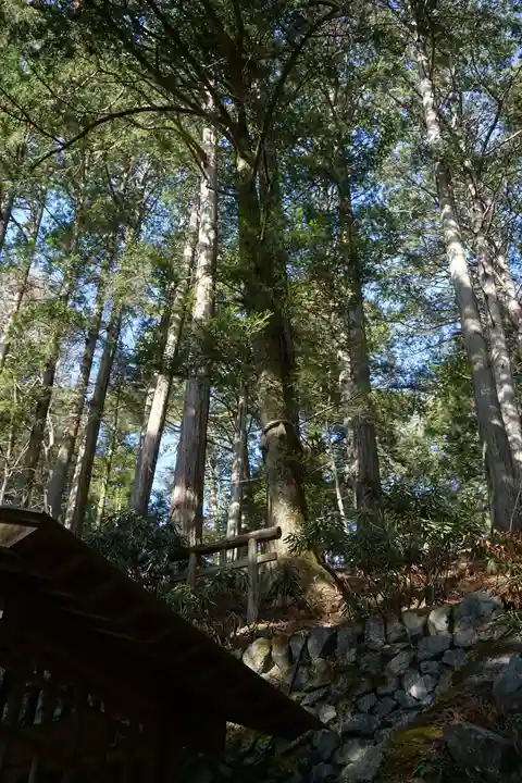 三峯神社の自然