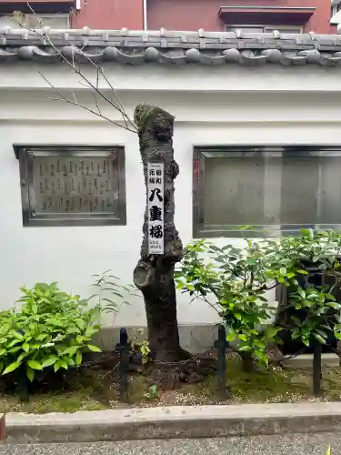 松坂稲荷大明神(東京都)