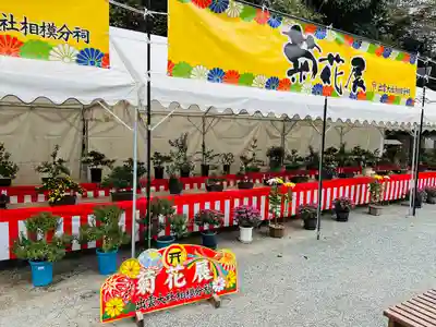 出雲大社相模分祠(神奈川県)