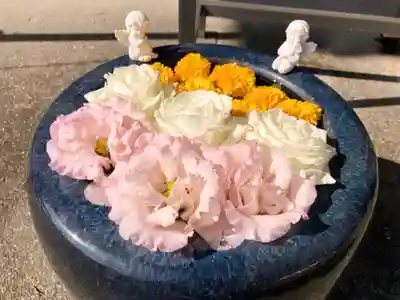 真言宗　善通寺派　薬王寺(香川県)