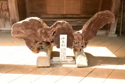 出石寺(愛媛県)