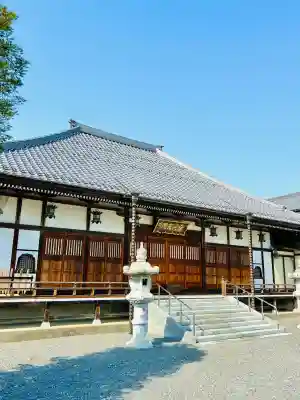 金蔵院（観音寺）の{uncategorized: "未分類", other: "その他", undefined: "問題あり", building: "その他建物", grave: "お墓", sacred_gate: "鳥居", guardian: "狛犬", statue: "像", buddha: "仏像", history: "歴史", nature: "自然", garden: "庭園", animal: "動物", pagoda: "塔", temizu: "手水舎", mountain_gate: "山門・神門", sanctuary: "本殿・本堂", subordinate: "末社・摂社", art: "芸術", scenery: "景色", jizo: "地蔵", ema: "絵馬", goshuin: "御朱印", omikuji: "おみくじ", items: "授与品その他", amulet: "お守り", goshuincho: "御朱印帳", eats: "食事", festival: "お祭り", votive_dance: "神楽", shichigosan: "七五三参", wedding: "結婚式", experience: "体験その他", initially: "初詣", around: "周辺", anti_infection: "感染症対策"}