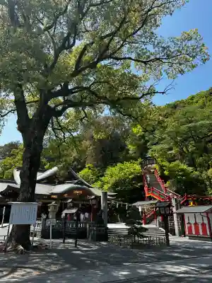 祐徳稲荷神社(佐賀県)
