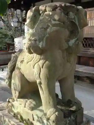 白峯神宮の狛犬