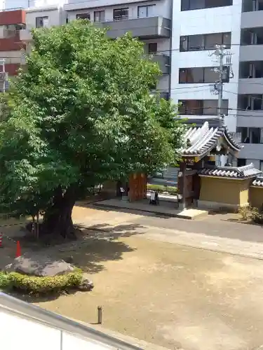 霊雲寺の山門