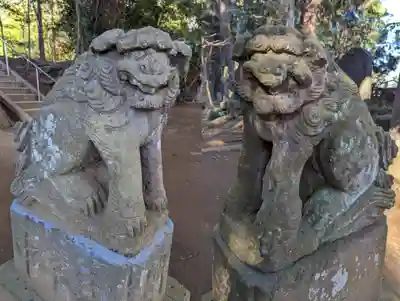 七百餘所神社 の狛犬