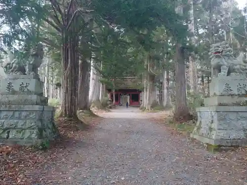 戸隠神社奥社の狛犬