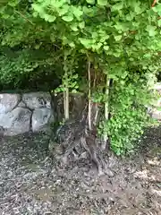 春日神社(福井県)