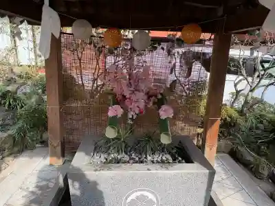 仙台大神宮の{uncategorized: "未分類", other: "その他", undefined: "問題あり", building: "その他建物", grave: "お墓", sacred_gate: "鳥居", guardian: "狛犬", statue: "像", buddha: "仏像", history: "歴史", nature: "自然", garden: "庭園", animal: "動物", pagoda: "塔", temizu: "手水舎", mountain_gate: "山門・神門", sanctuary: "本殿・本堂", subordinate: "末社・摂社", art: "芸術", scenery: "景色", jizo: "地蔵", ema: "絵馬", goshuin: "御朱印", omikuji: "おみくじ", items: "授与品その他", amulet: "お守り", goshuincho: "御朱印帳", eats: "食事", festival: "お祭り", votive_dance: "神楽", shichigosan: "七五三参", wedding: "結婚式", experience: "体験その他", initially: "初詣", around: "周辺", anti_infection: "感染症対策"}