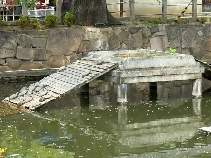 四天王寺(大阪府)