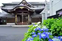 長國寺の本殿・本堂