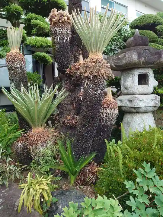 浄元寺のその他建物