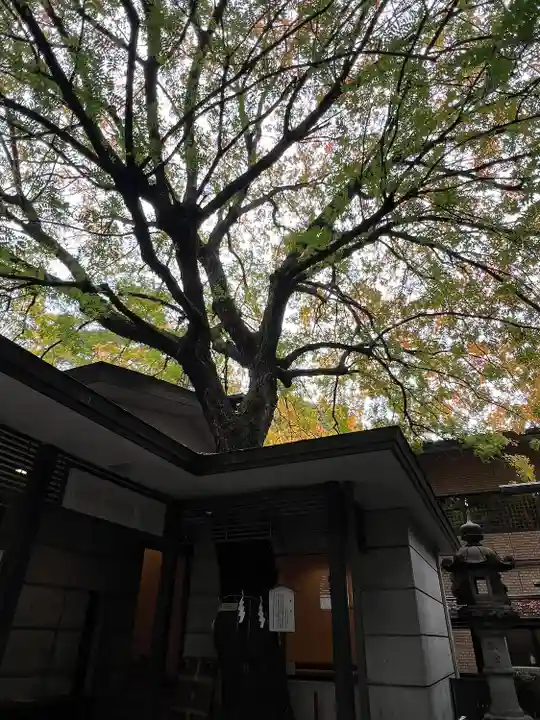 乃木神社(東京都)