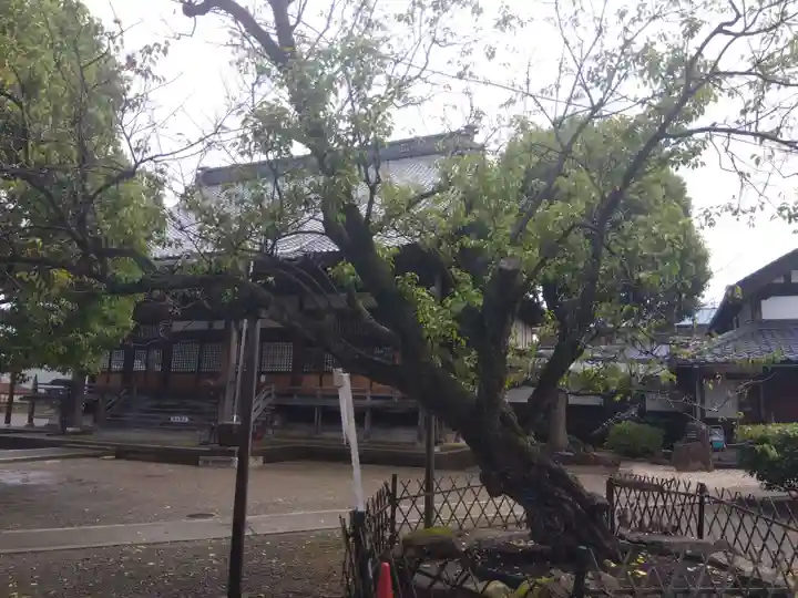 本興寺(福井県)