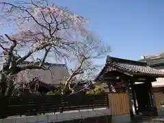 正道寺の自然