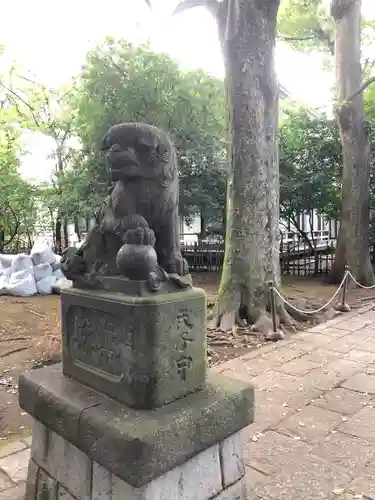 武蔵野八幡宮の狛犬