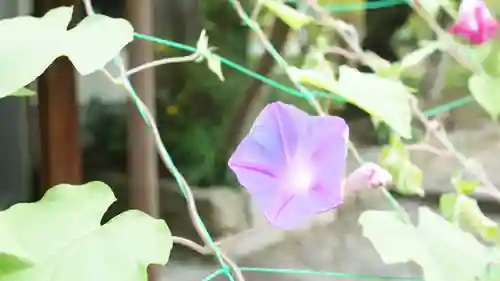 真正極楽寺（真如堂）(京都府)