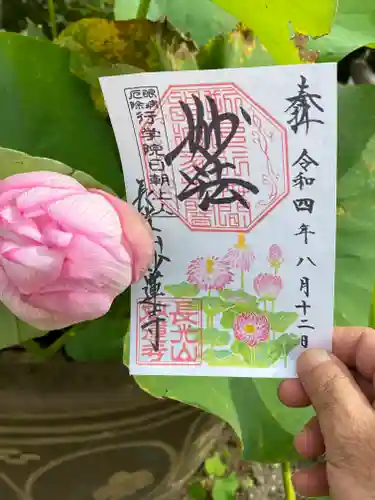 妙蓮寺(神奈川県)