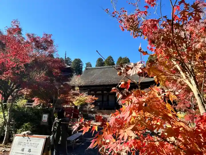 常樂寺(滋賀県)