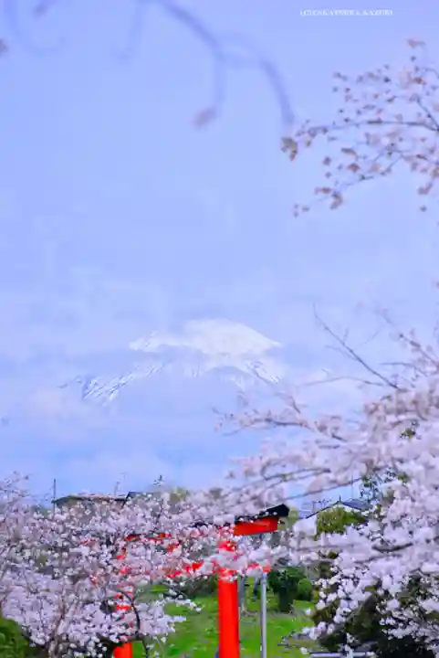 富士山本宮浅間大社(静岡県)