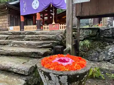 丹生都比売神社の本殿・本堂