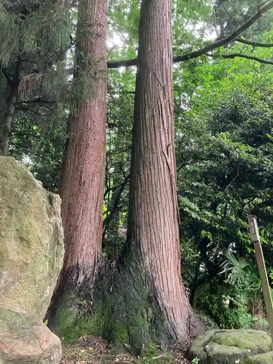 劒神社(福井県)