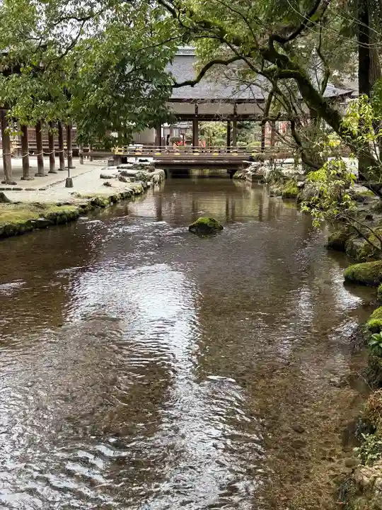 賀茂別雷神社(上賀茂神社)(京都府)
