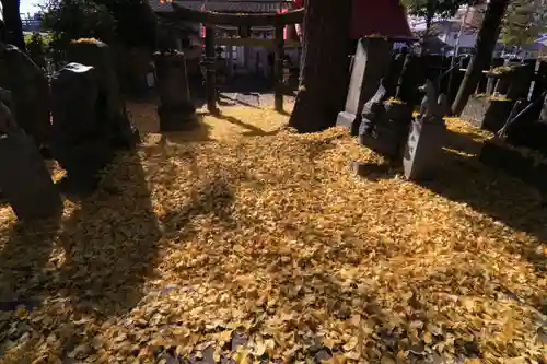 晴門田神社の景色