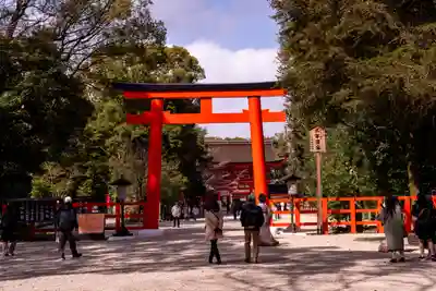 賀茂御祖神社(下鴨神社)の鳥居