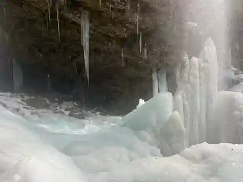 上尾御嶽神社の自然
