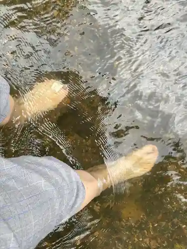 賀茂別雷神社（上賀茂神社）(京都府)
