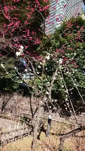 愛宕神社の自然