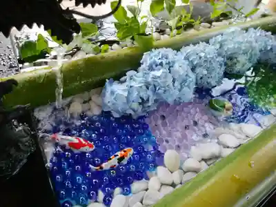 美幌神社の手水舎