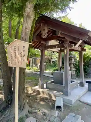 若宮八幡宮 の手水舎