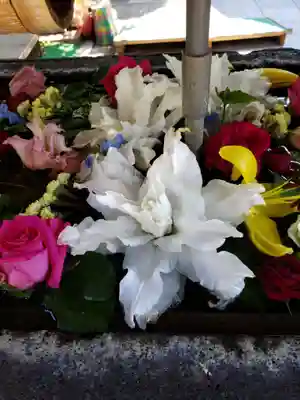 鳩森八幡神社の手水舎