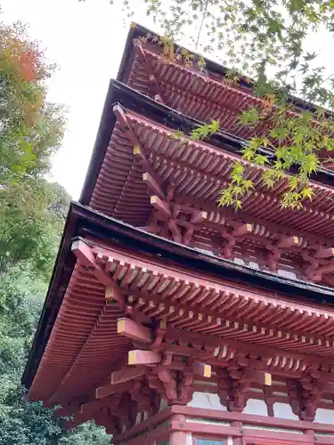 浄瑠璃寺(京都府)