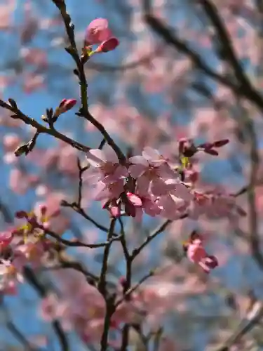 大船観音寺(神奈川県)