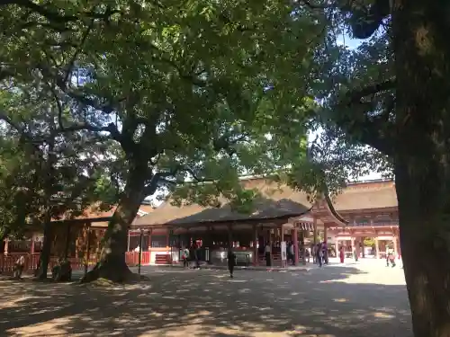 津島神社(愛知県)