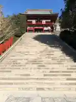鶴岡八幡宮(神奈川県)